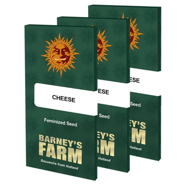 Cheese – Image 2
