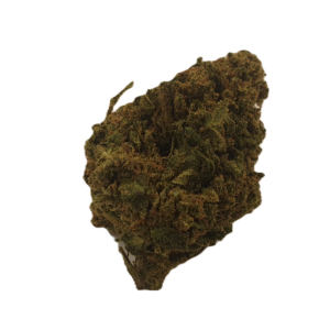 Skunk
