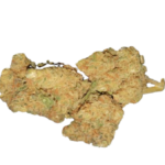 orange-bud-oroseau-cbd-paris-france